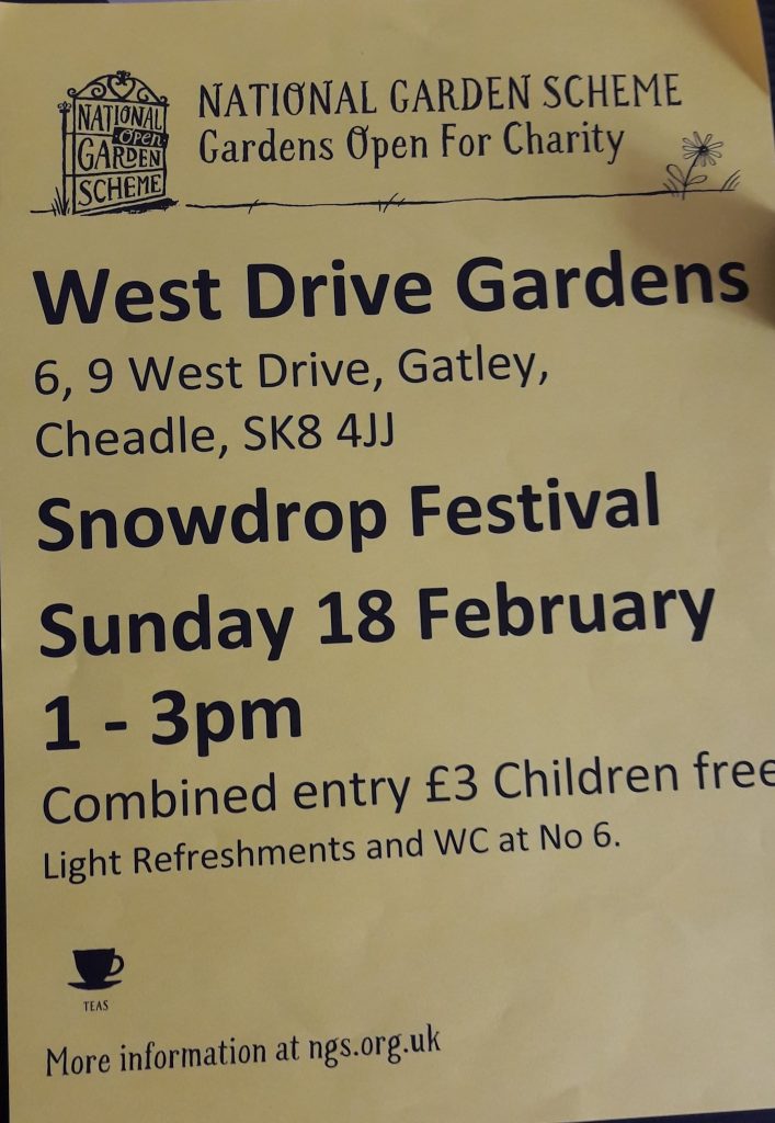 Snowdrop festival